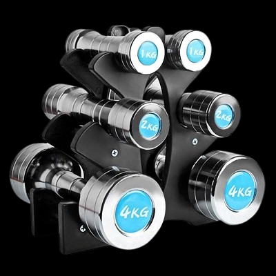 SUPPORT HALTERES - DumbellWeightRack™