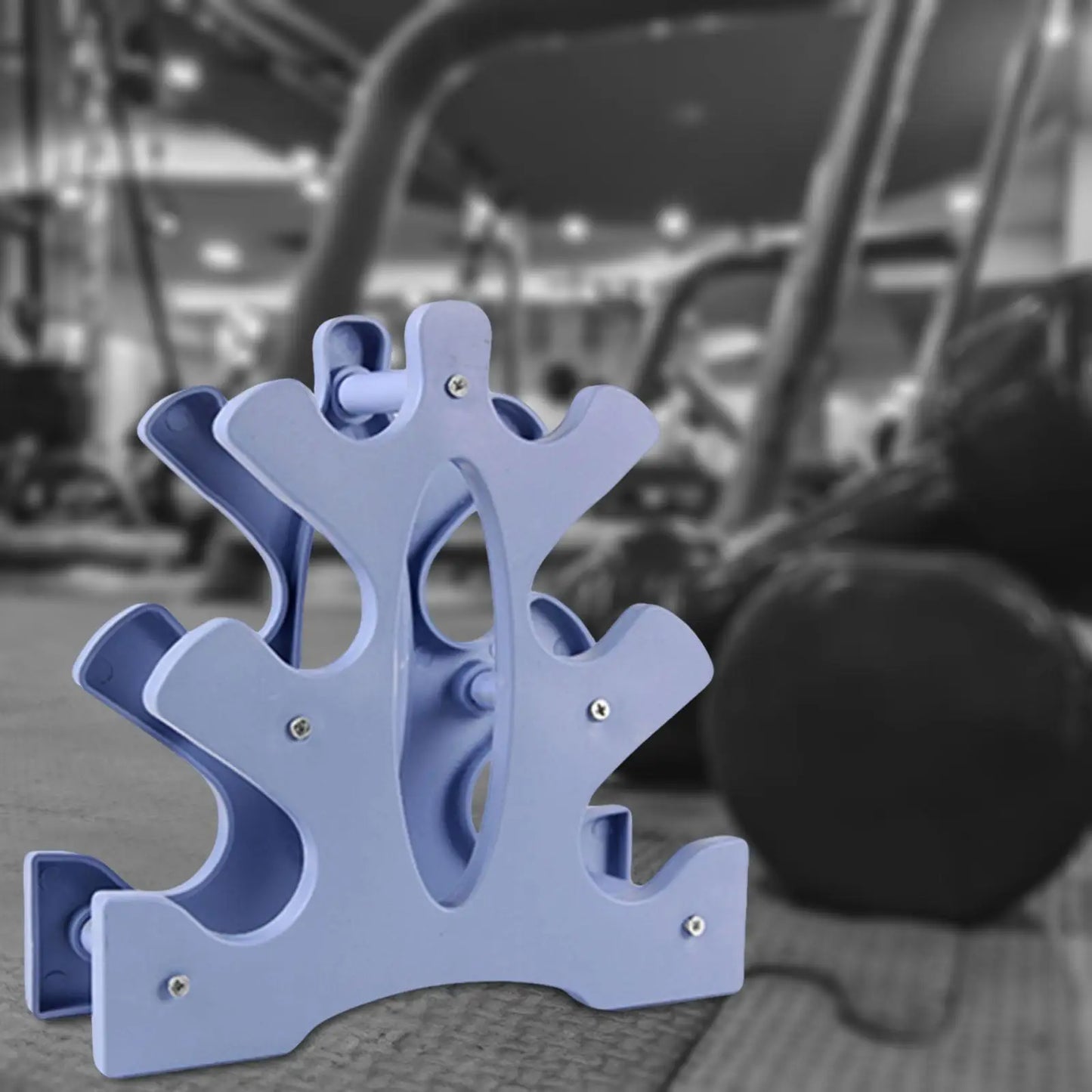 SUPPORT HALTERES - DumbellWeightRack™